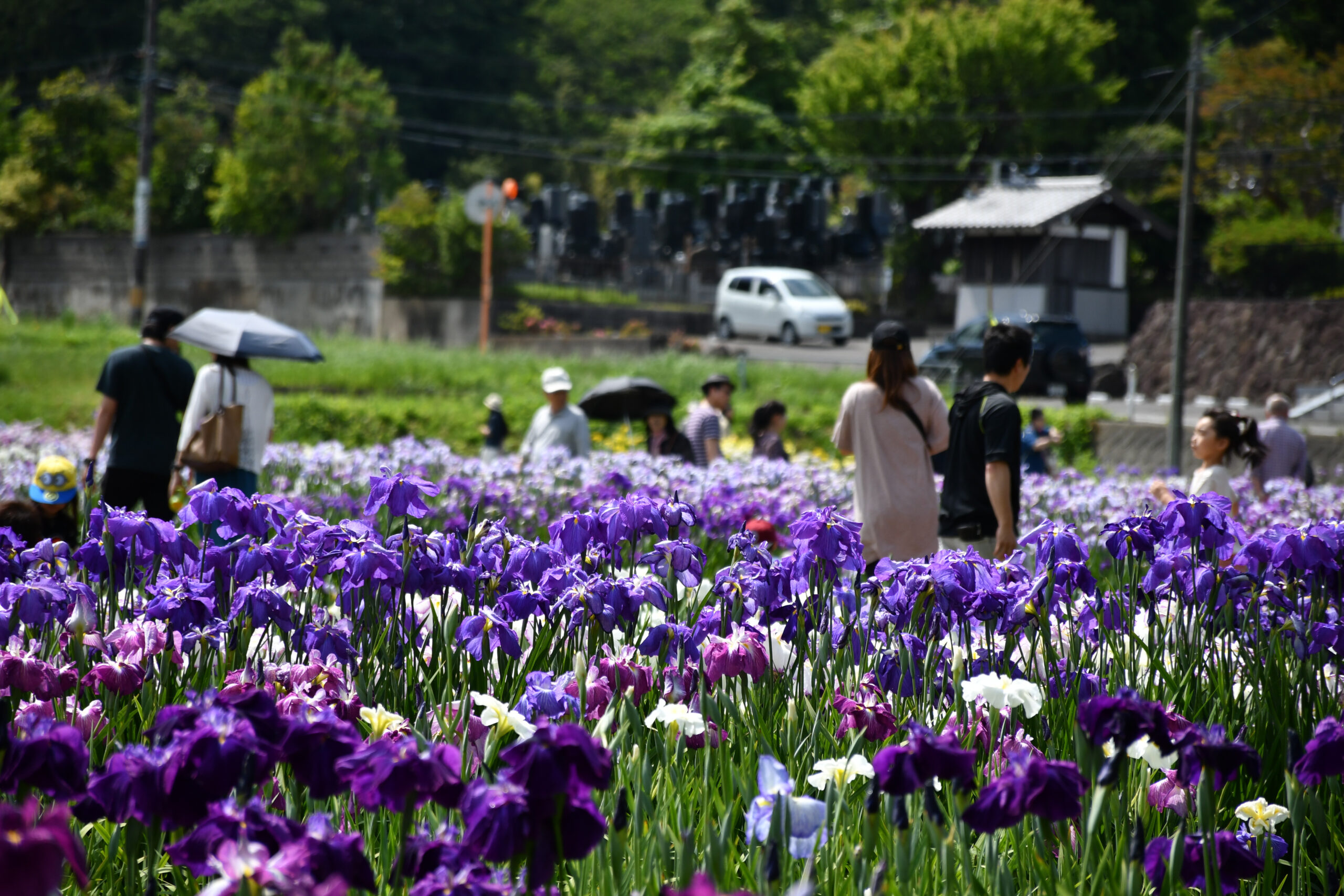 多賀城市